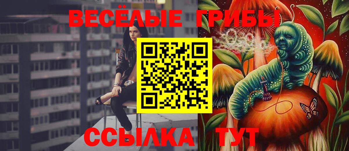 Галлюциногенные грибы Cubensis Новосибирск
